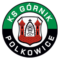 Górnik Polkowice logo